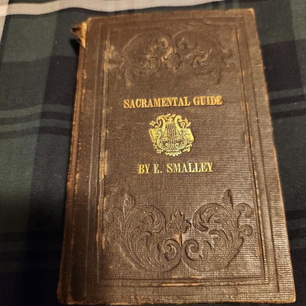 Free-people Brown Books